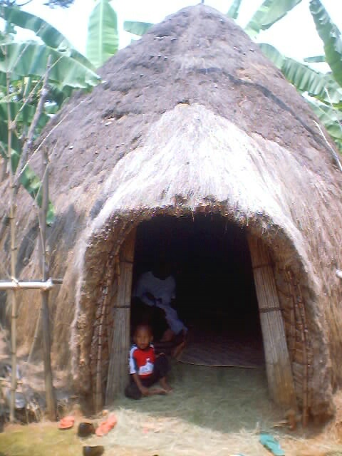 bamboo and grass hut, "Kanazi, Kagera", Tanzania, 2004