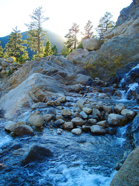 Creek near the alluvial fan, Rocky Mountain National Park, Colorado, 2010