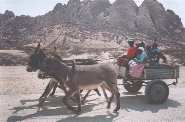 donkey cart, Spitzkoppe, Namibia, 1997