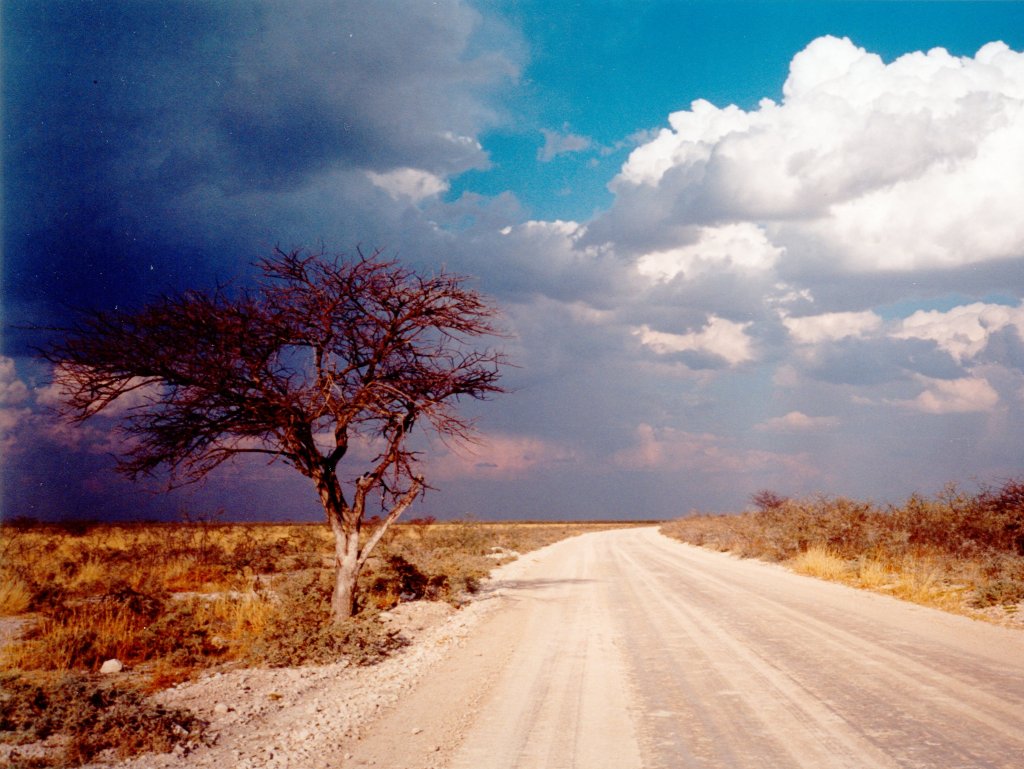 road, Etosha National Park, Okaukuejo, Namibia, 1997