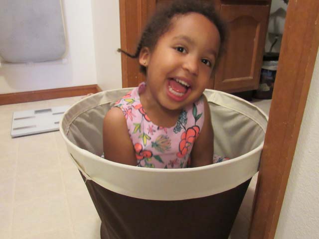 Irene in laundry basket, Fort Collins, Colorado, 2017