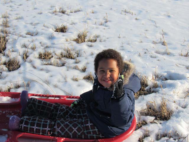 Irene in a sled, Fort Collins, Colorado, 2019