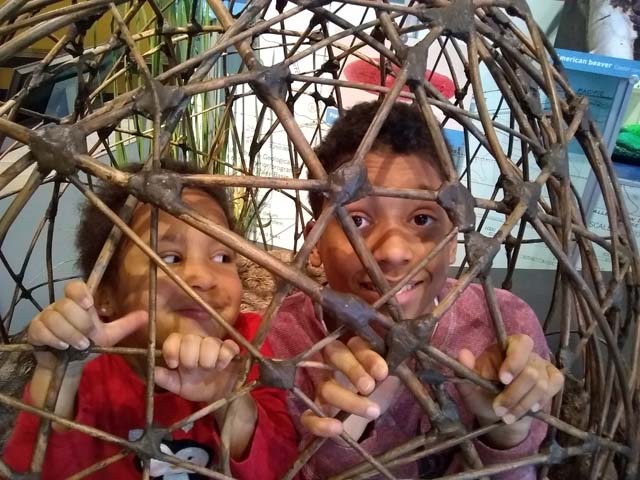 Irene and Joachim in cage at Discovery Museum, Fort Collins, Colorado, 2017