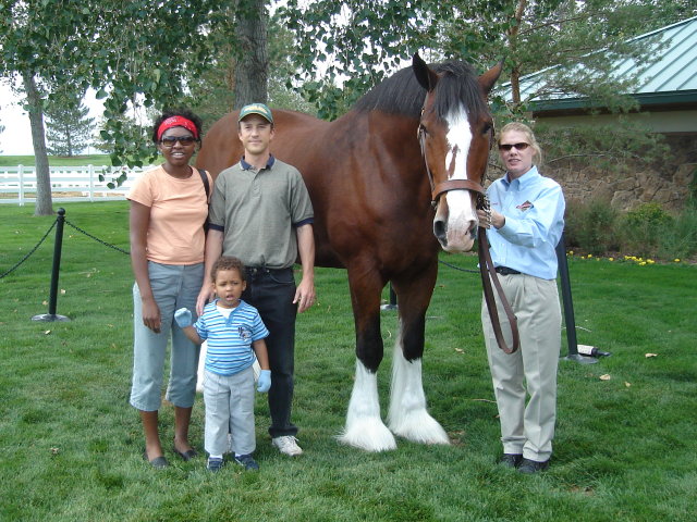 Joanitha, Joachim and Greg with Budweiser clydesdale horse, Fort Collins, Colorado, 2008