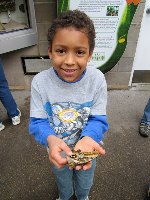 Joachim holding a butterfly , Westminster, Colorado, 2011