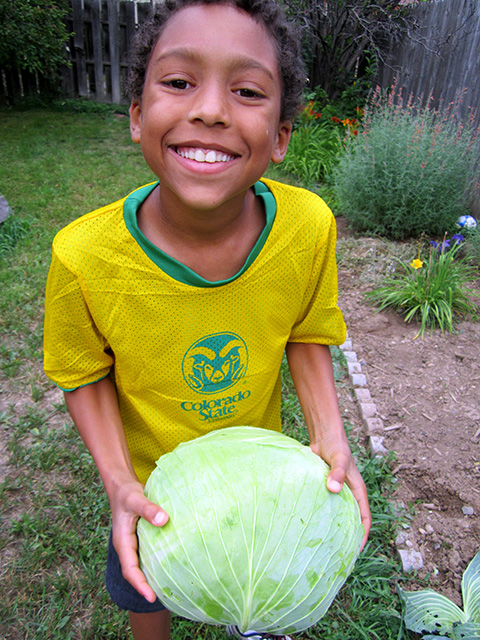Joachim with his cabbage, Fort Collins, Colorado, 2014
