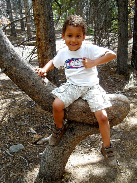 Joachim on an elbow tree, Rocky Mountain National Park, Colorado, 2009
