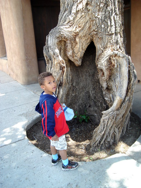 Joachim near a hollow tree trunk, Taos, New Mexico, 2009