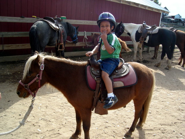 Joachim on a pony, Lee Martinez Park, Fort Collins, Colorado, 2008
