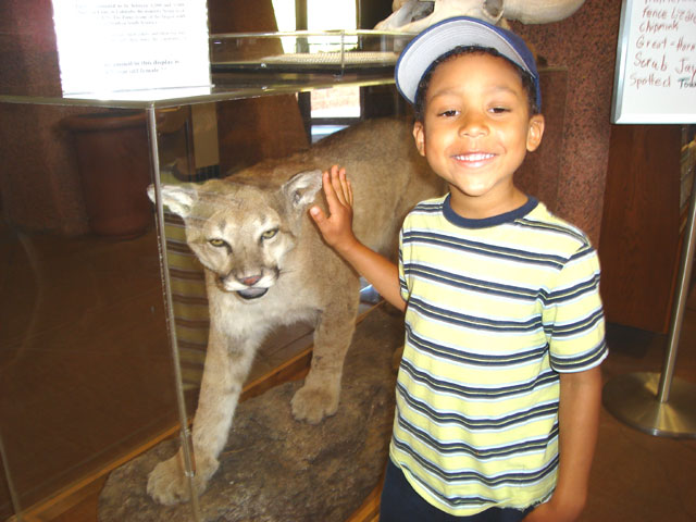 Joachim with a mountain lion, Mueller State Park, Colorado, 2010