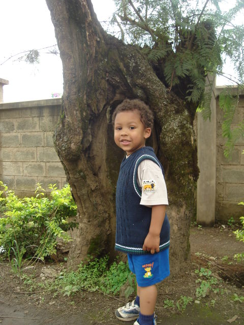 Joachim by a stump, Arusha, Tanzania, 2008