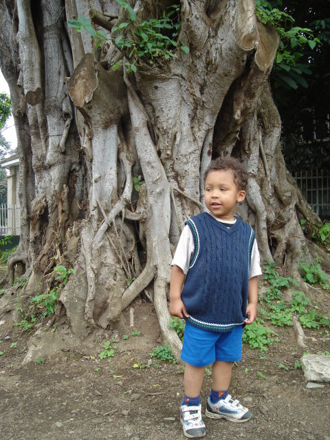 Joachim by a tree trunk, Arusha, Tanzania, 2008