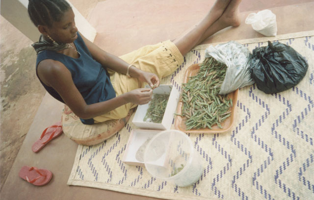 Joanitha preparing senene, Kampala, Uganda, 2003