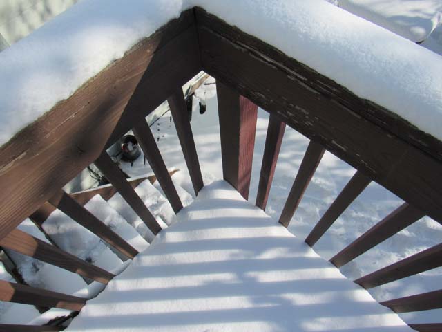 snowy deck, Fort Collins, Colorado, 2019
