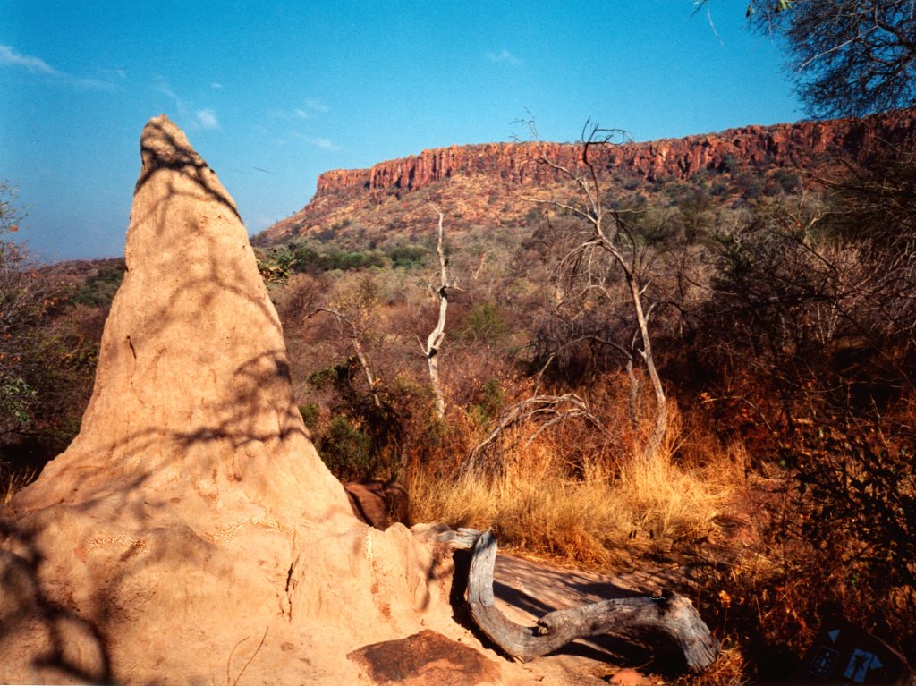 termite mound, Waterberg National Park, Namibia, 1997