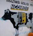 cow phone - maziwa halisi ya ngombe (mural), Bukoba, Tanzania, 2002