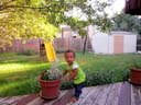 Irene in the back yard in September, Fort Collins, Colorado, 2014