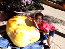 Joachim with a giant pumpkin, Fort Collins, Colorado, 2014