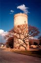 tree and Okaukuejo tower, Etosha National Park, Okaukuejo, Namibia, 1997