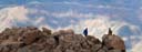 Joachim climbing rocks on Pike's Peak, Pike National Forest, Colorado, 2019
