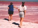 Pink water near the salt works, Swakopmund, Namibia, 1996